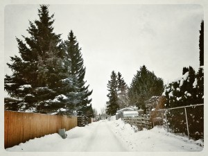 IMG_20140113_133036_1