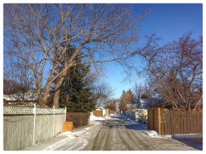 IMG_20140116_125110_1