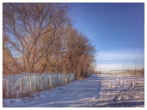 IMG_20140116_125702_1