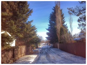 IMG_20140116_130155_1