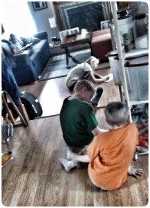 IMG_20150120_162802_1