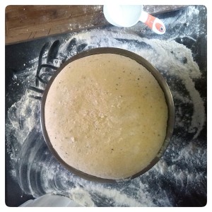 IMG_20150202_141047_1