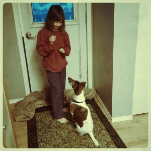 IMG_20150220_184247_1