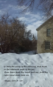 IMG_20150307_113517edit'