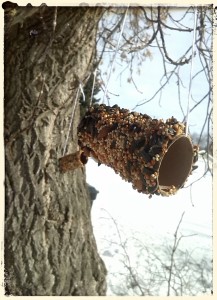 IMG_20150310_112435_1